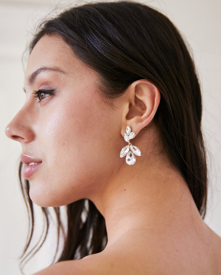 Aros Magnolia Plateado