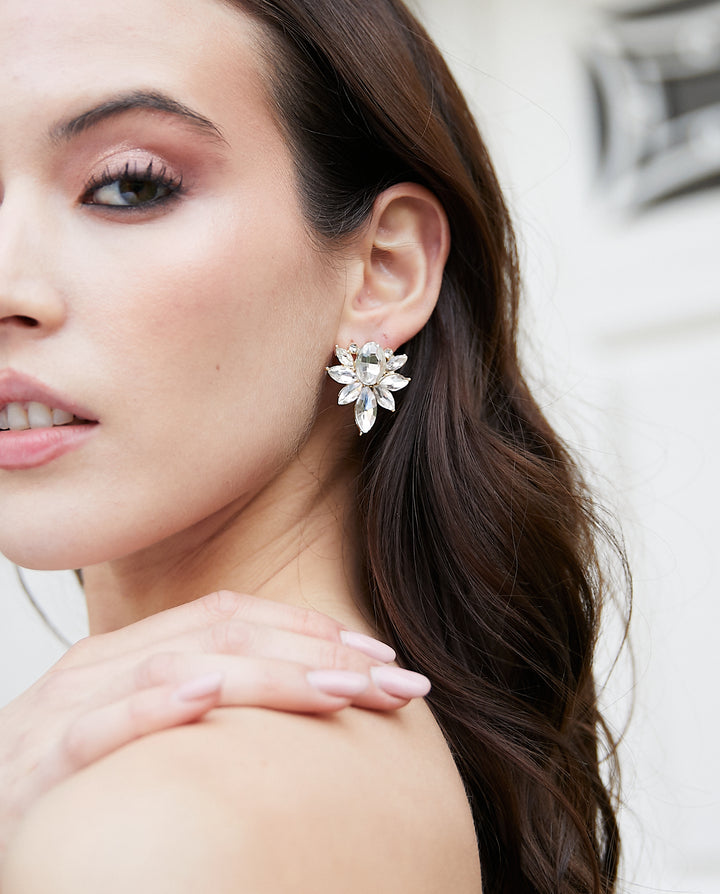 Aros Anahí Plateado